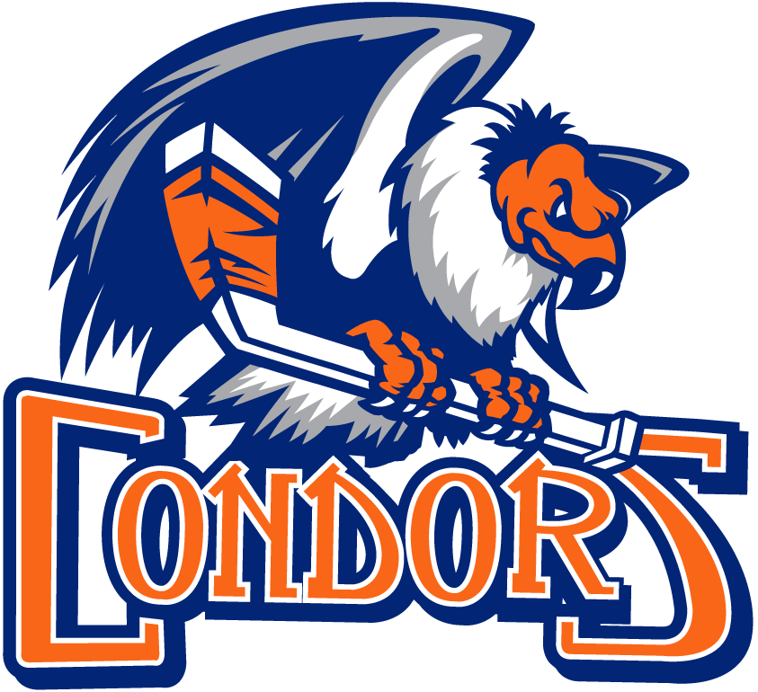Bakersfield Condors 2015-2018 Primary Logo iron on heat transfer